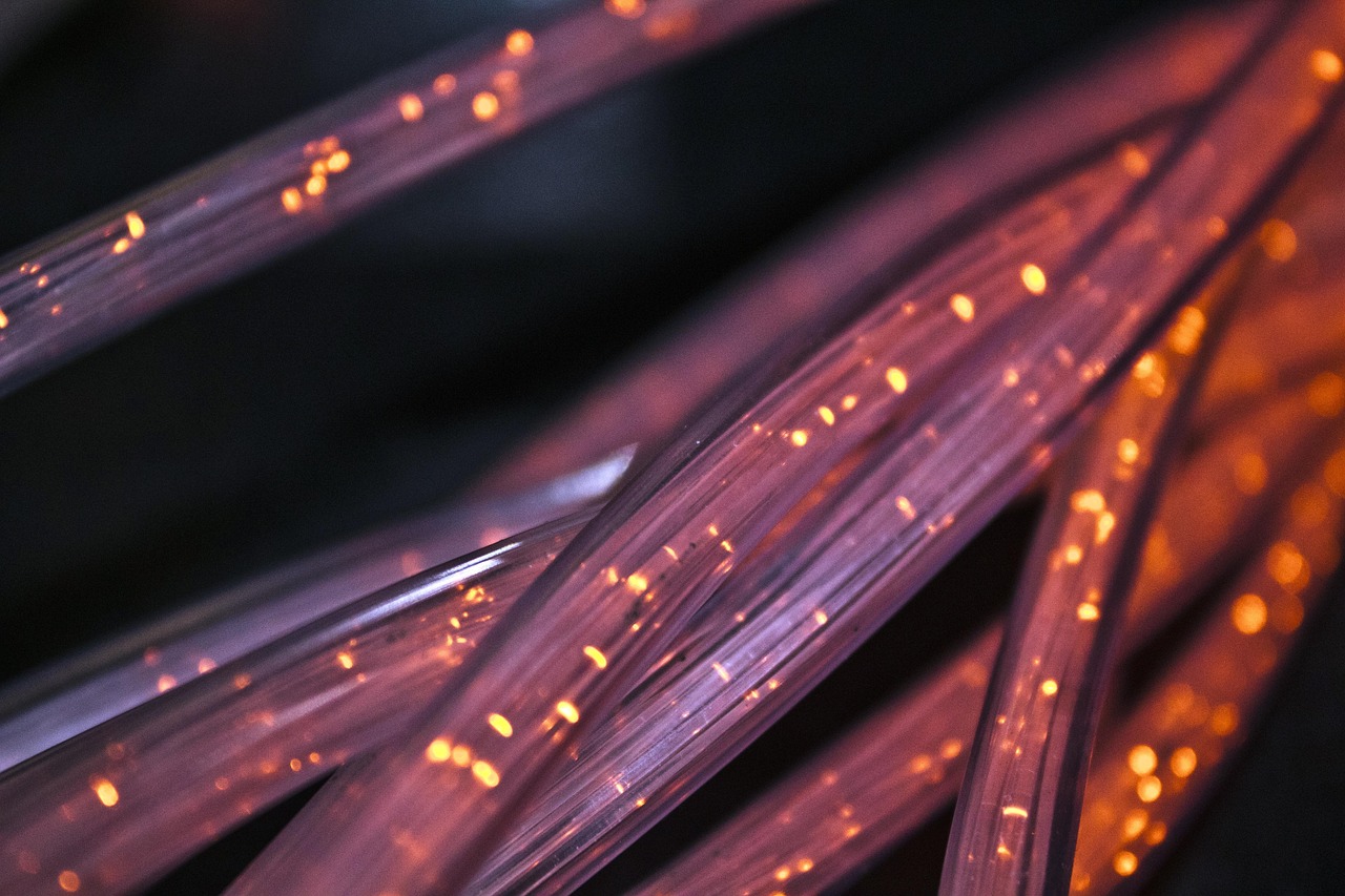 Network Tools Explained: Ping, Port Scanning, and DNS Lookup